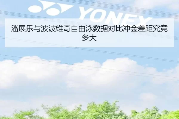 潘展乐与波波维奇自由泳数据对比冲金差距究竟多大